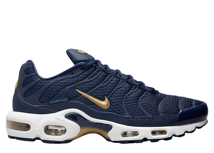 Nike Air Max Plus French Football Federation