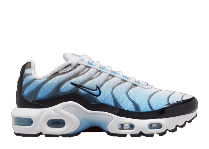 nike air max plus igloo