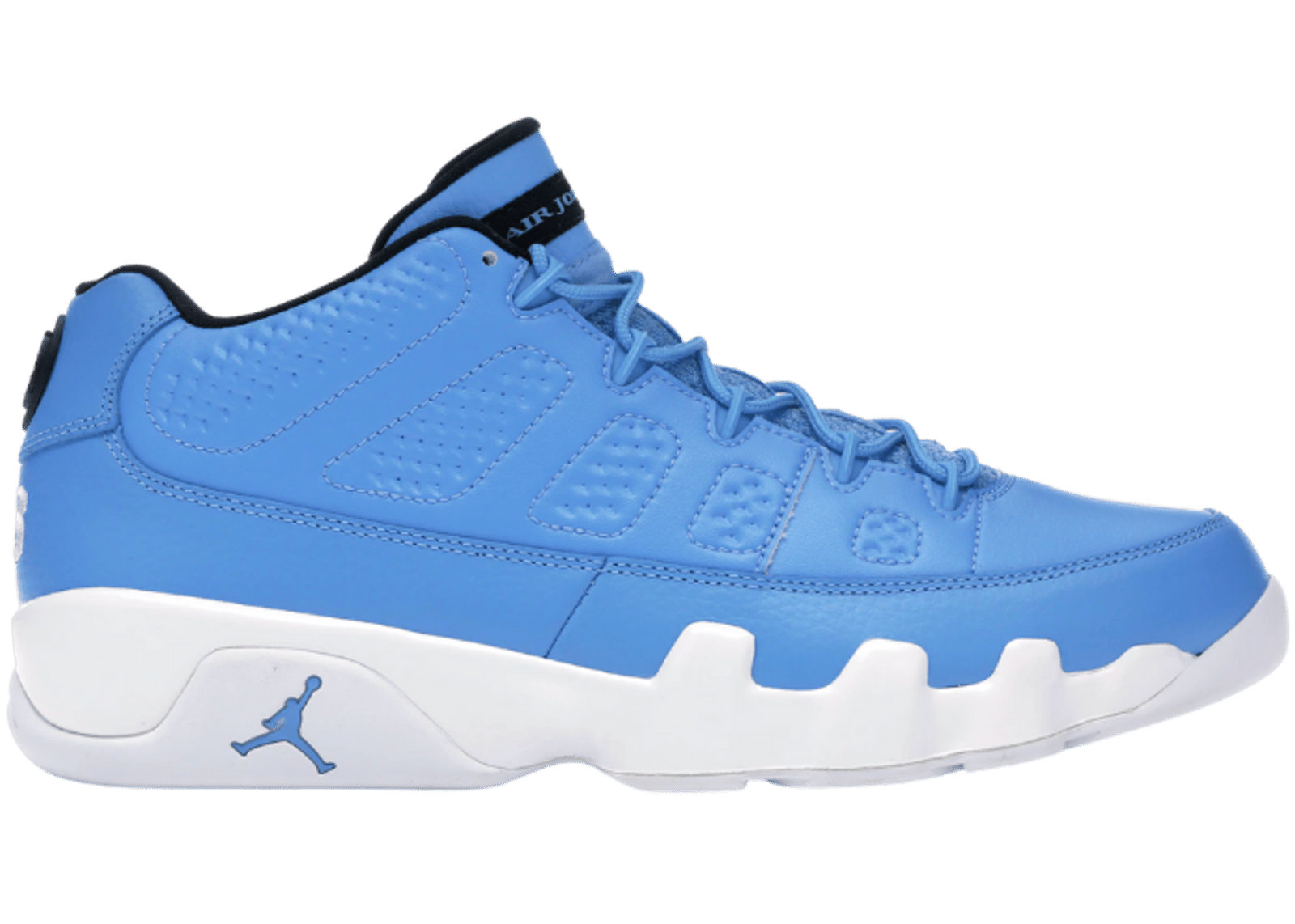 Jordan 9 Retro Low Pantone