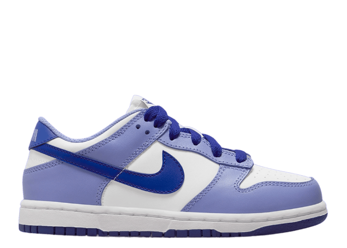 Nike Dunk Low Blueberry (PS)