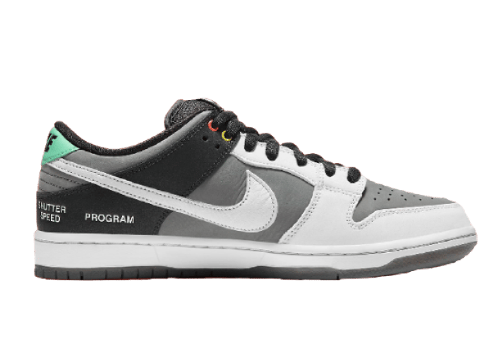 Nike SB Dunk Low Camcorder