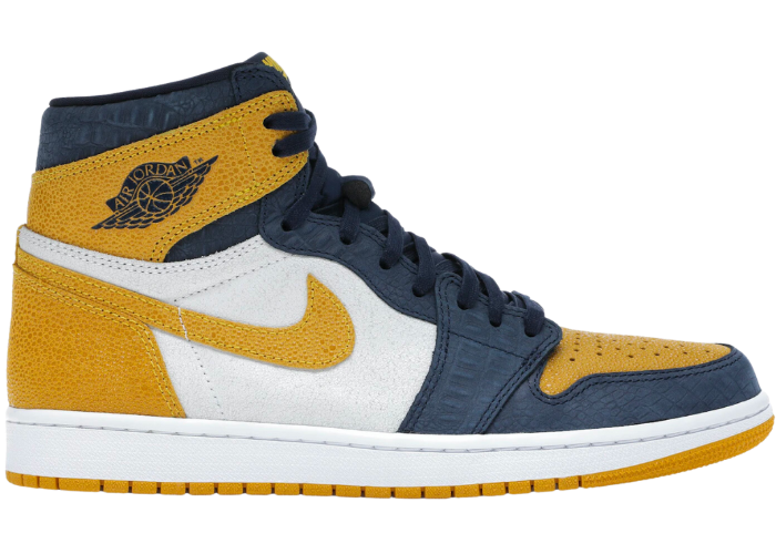 Air Jordan 1 Retro High Michigan PE