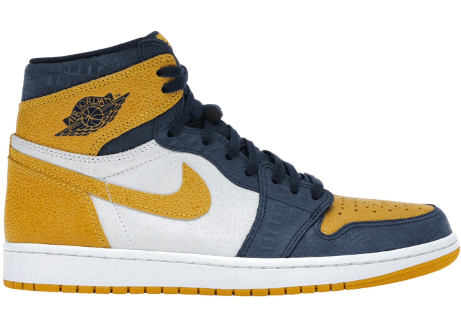 Air Jordan 1 Retro High Michigan PE