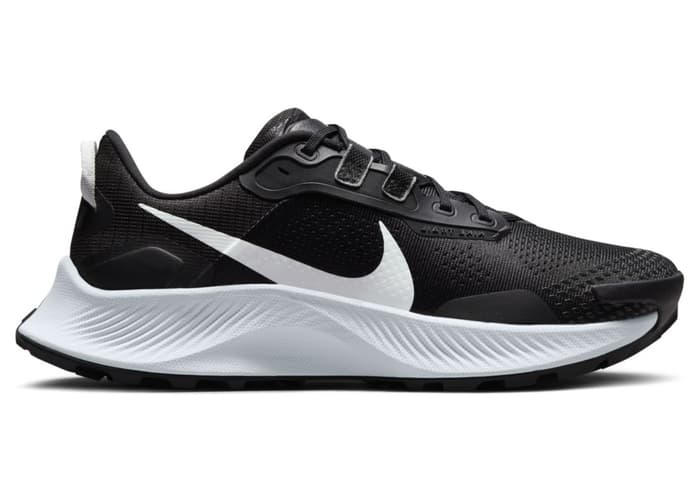 Nike Pegasus Trail 2 Black Platinum (W)
