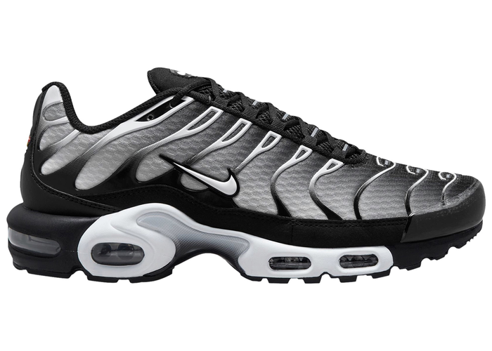 Nike Air Max Plus Black Silver White