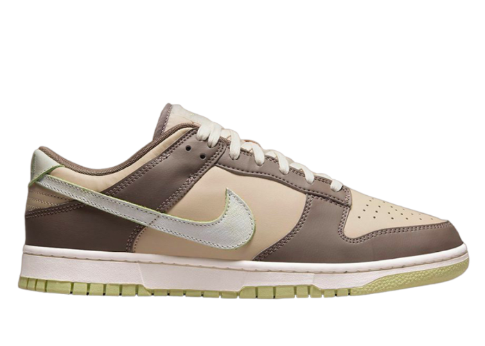 nike dunk low with velcro strap