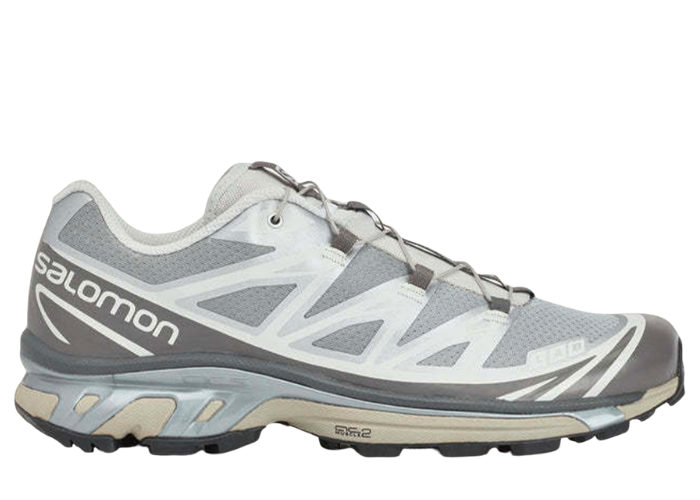 Salomon XT-6 Advanced DSM Silver Black