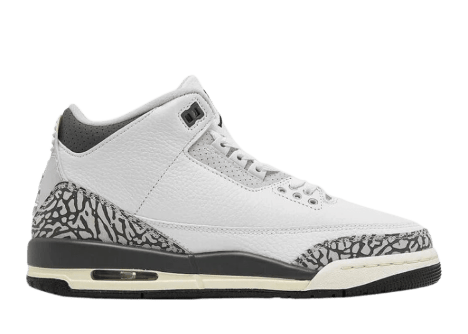 Air Jordan 3 Hide N' Sneaks (GS)