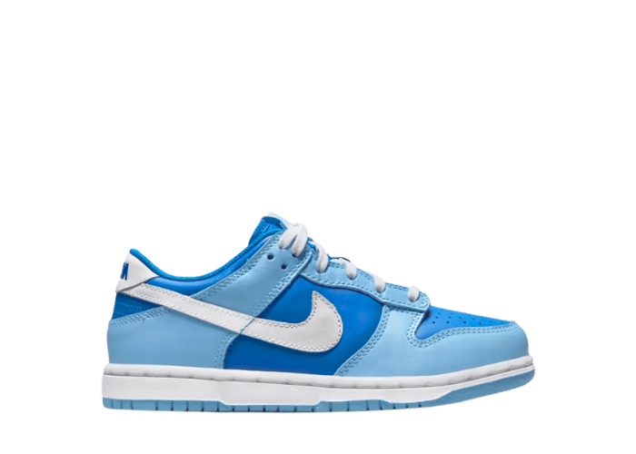 Nike Dunk Low Argon (PS)