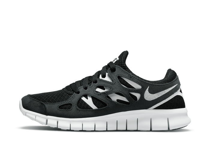 Nike Free Run 2 Shoes