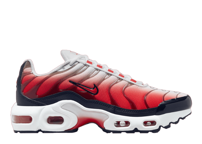 Nike Air Max Plus Fire (GS)