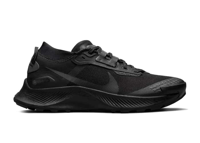 Nike Pegasus Trail 3 Gore-Tex Black Dark Smoke Grey (W)
