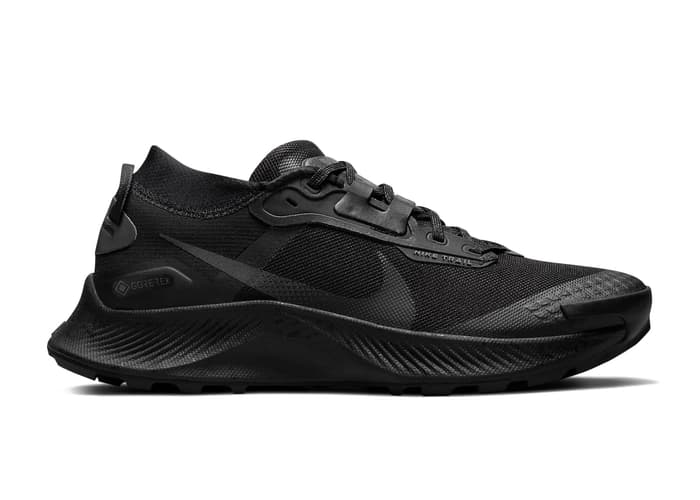 Nike Pegasus Trail 3 Gore-Tex Black Dark Smoke Grey (W)