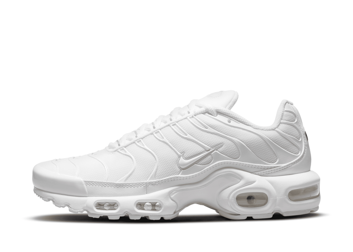 Nike Air Max Plus Shoes