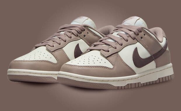 The Women's Exclusive Nike Dunk Low Diffused Taupe Releases Holiday 2023