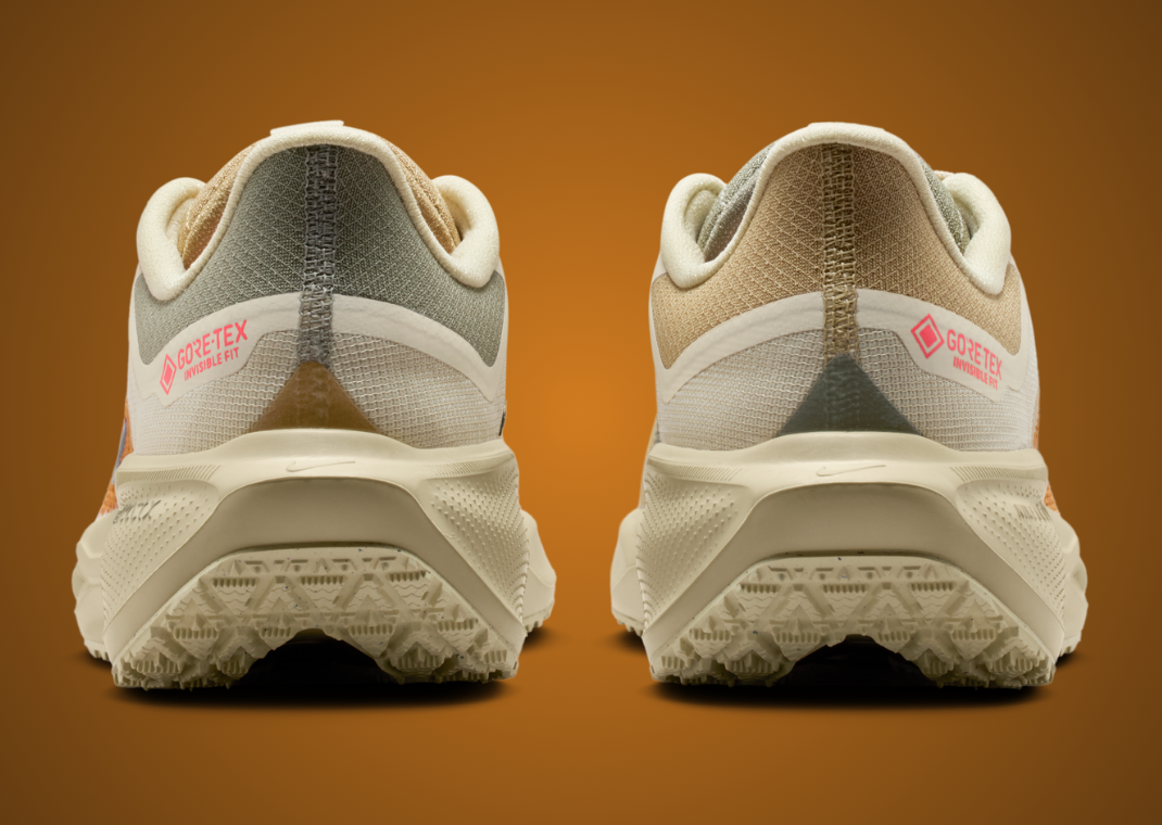 Nike Pegasus 41 Gore-Tex Running Poets - Back