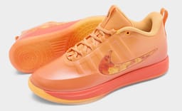 The Nike Book 2 Phoenix Rises From the Ashes