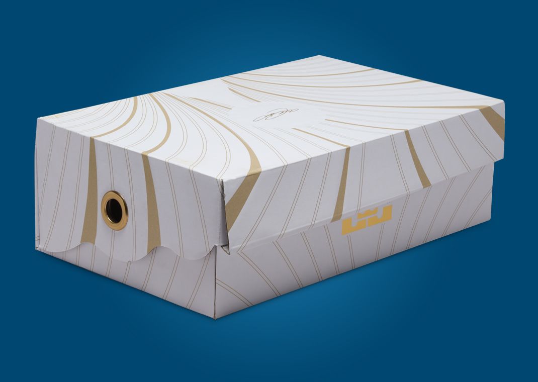 Nike LeBron 21 Abalone Packaging
