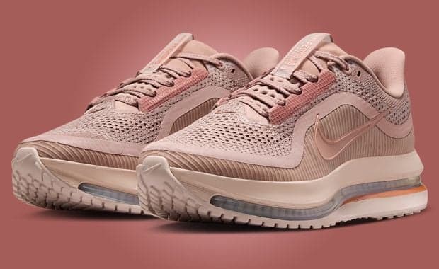 Nike Pegasus Premium Particle Pink (W)