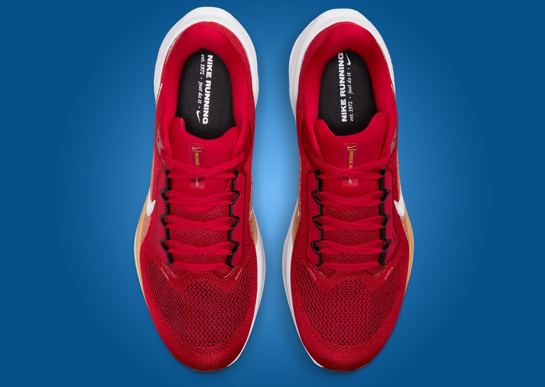 NFL x Nike Pegasus 41 San Francisco 49ers Top