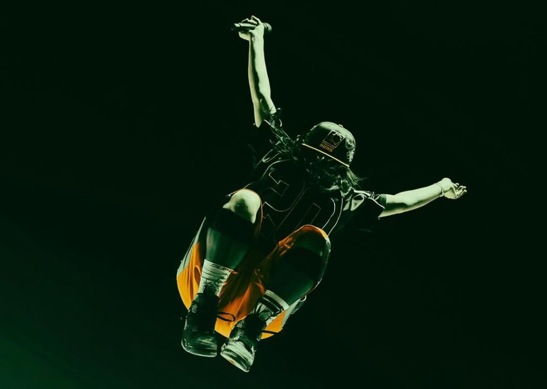 Billie Eilish wearing her custom Air Jordan 4 Retro
