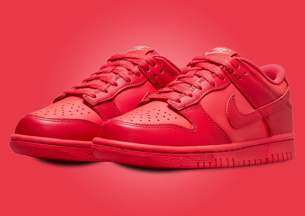 Nike Dunk Low Track Red (GS)