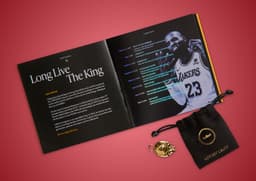 Nike LeBron 23 Motor King - Accessories