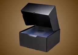 Nike LeBron 23 Masked Menace - Box