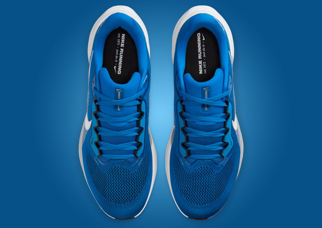 NFL x Nike Pegasus 41 Detroit Lions Top
