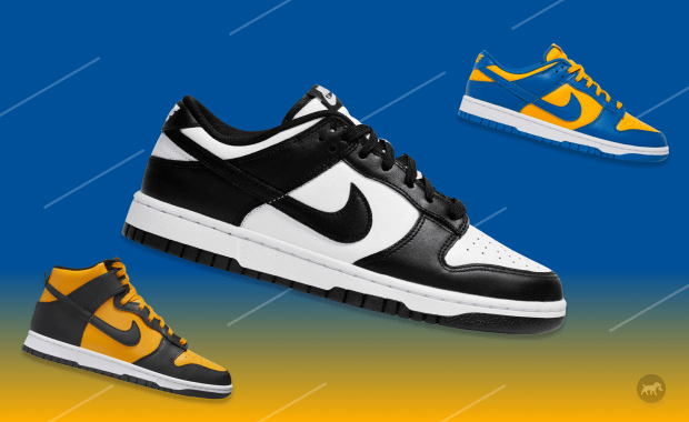 Nike Dunk Buyers Guide