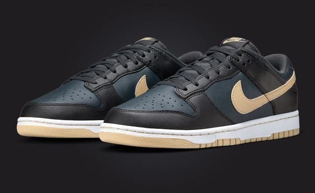 Nike Dunk Low Black Sesame