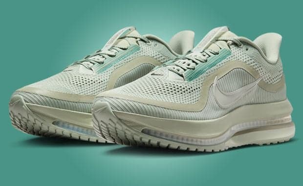 Nike Pegasus Premium Jade Horizon