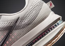 Nike Pegasus Premium Now and Then - Heel Detail
