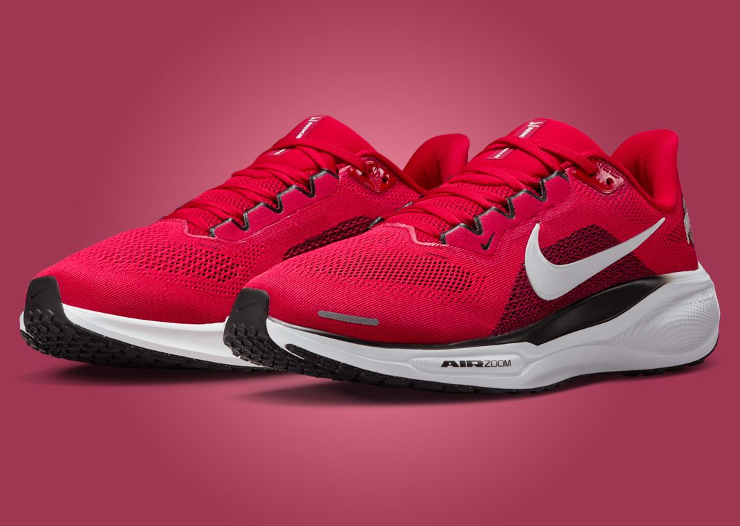 NCAA x Nike Pegasus 41 Ohio State Angle