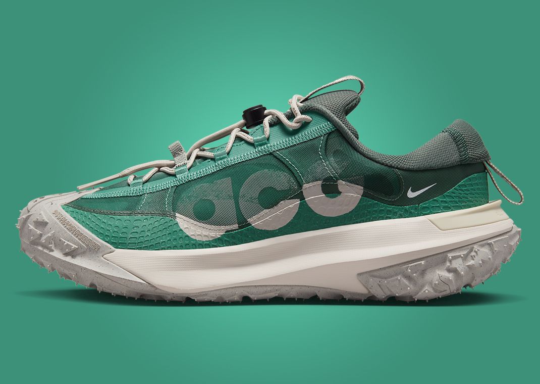 Nike ACG Mountain Fly 2 Low Bicoastal Lateral