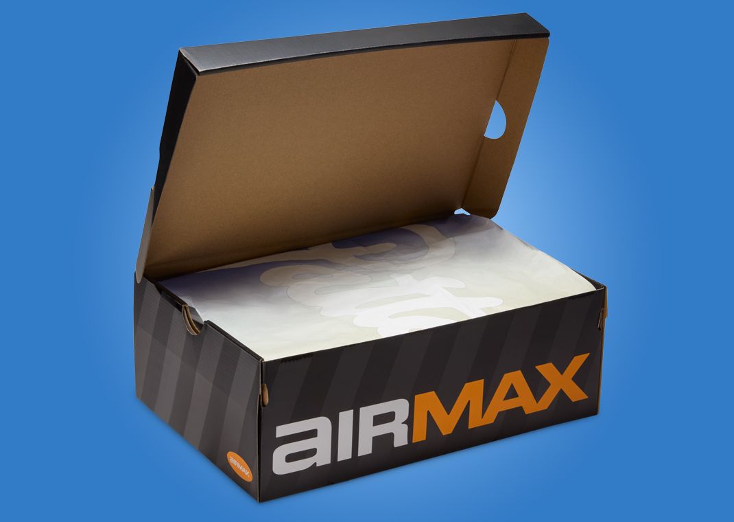 Patta x Nike Air Max DN8 Game Royal - Box