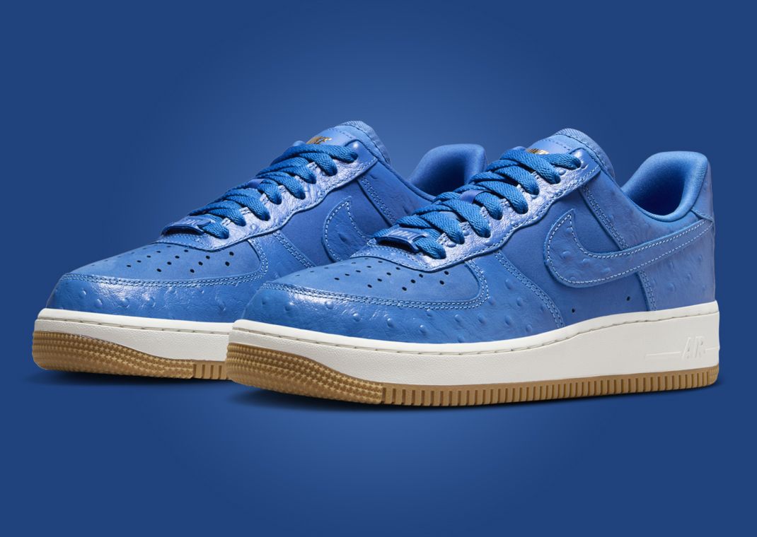 Nike Air Force 1 Low Lux Grandma Star Blue (W)