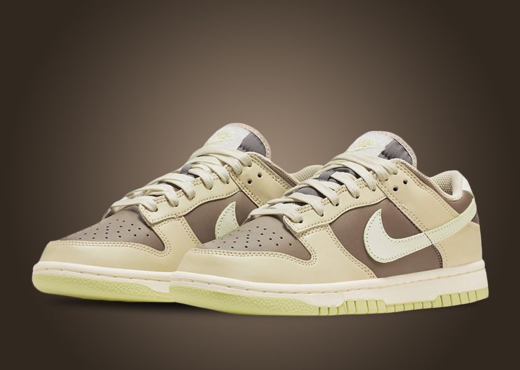 Nike Dunk Low Velcro Tabs Brown Tan