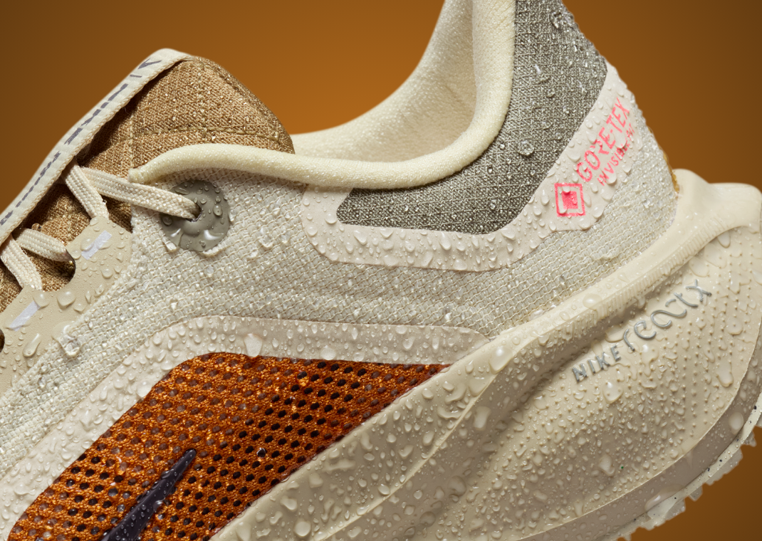 Nike Pegasus 41 Gore-Tex Running Poets - Waterproof