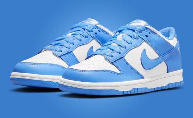 Nike Dunk Low UNC (GS)