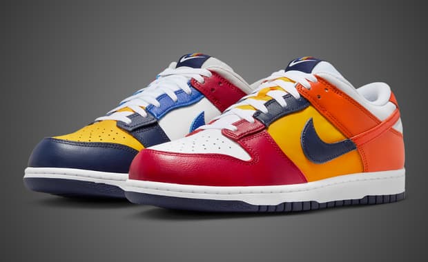 Nike Dunk Low CO.JP What The