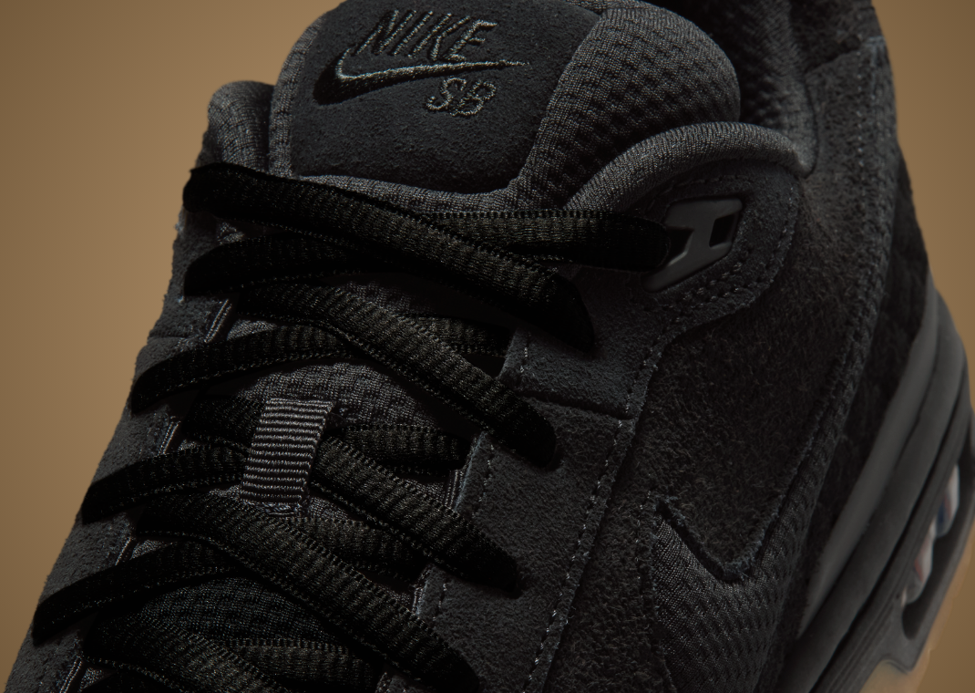 Nike SB Paul Rodriguez Zoom Air Low Black Gum - Detail