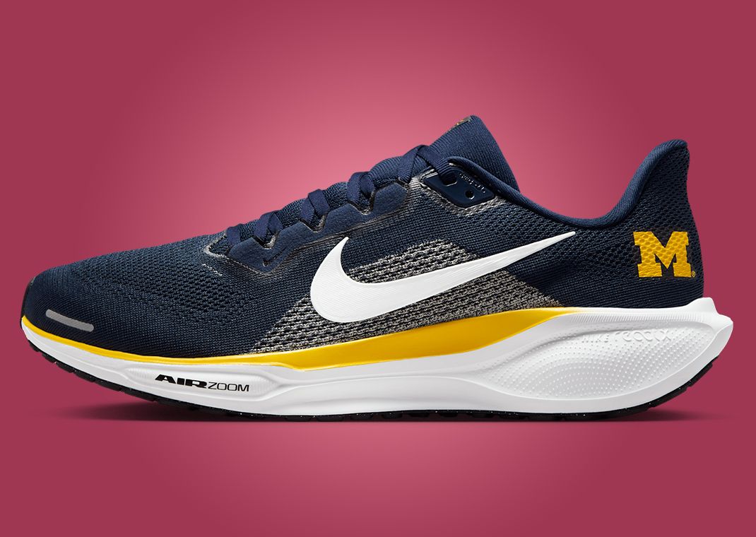 NCAA x Nike Pegasus 41 Michigan Lateral