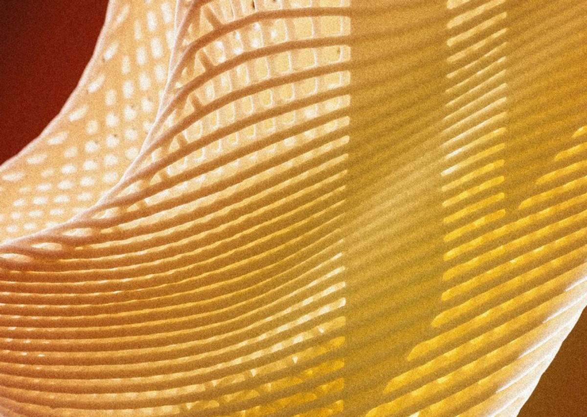 adidas Climamog Detail