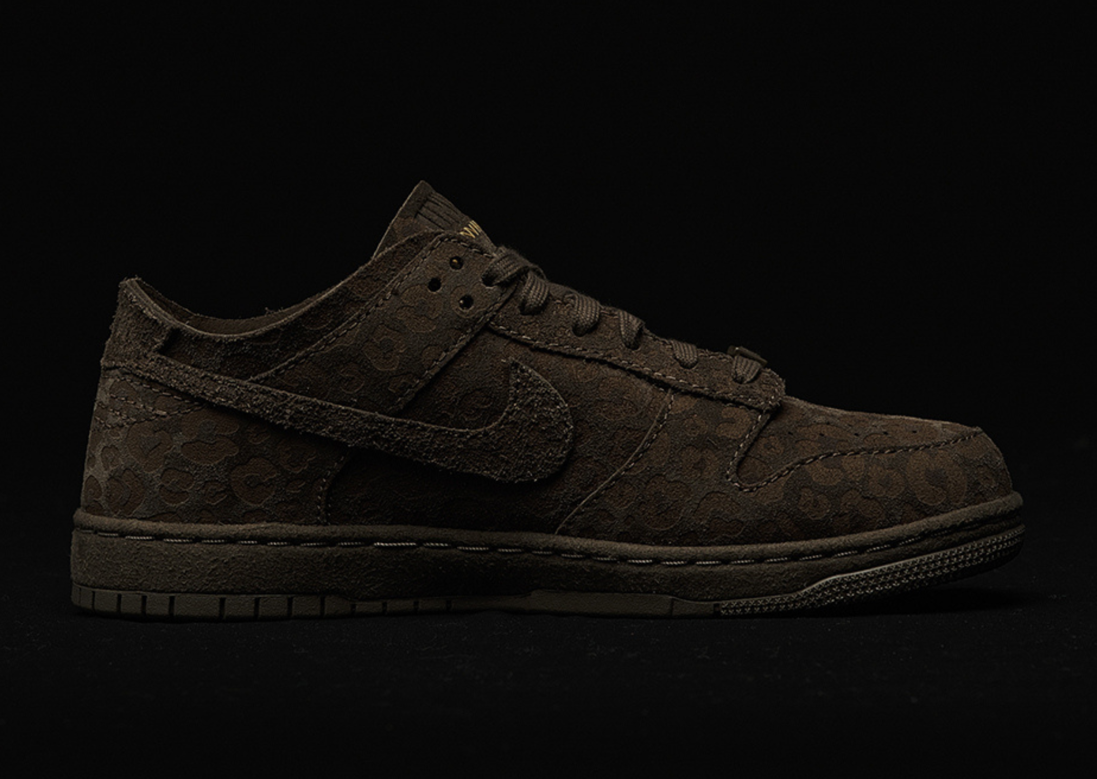 Union x Nike Dunk Low Natural Selection Palomino Medial