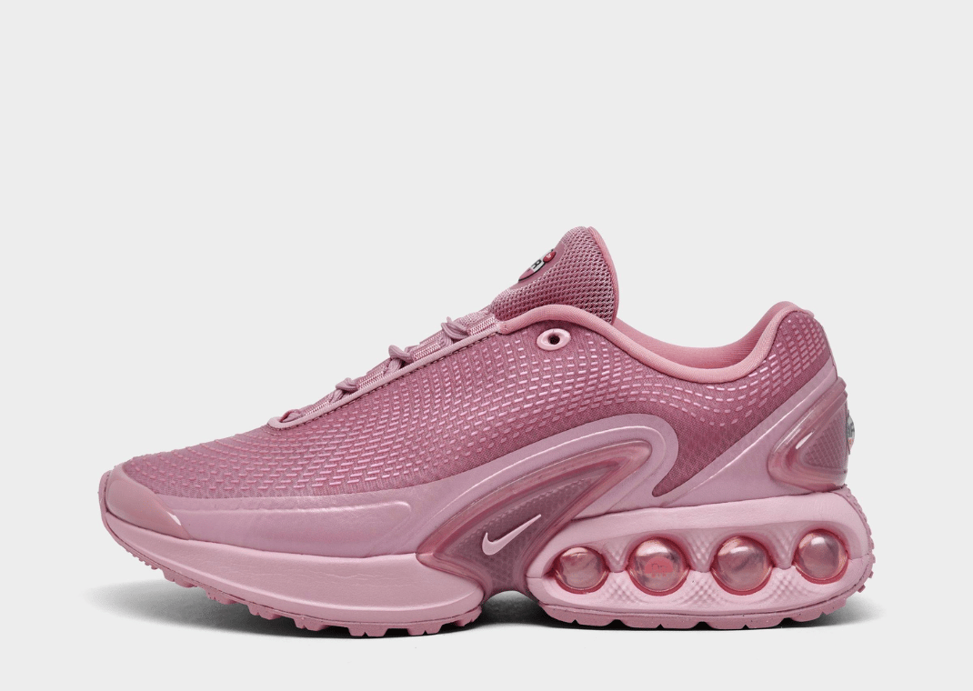 Nike Air Max DN Elemental Pink (W)