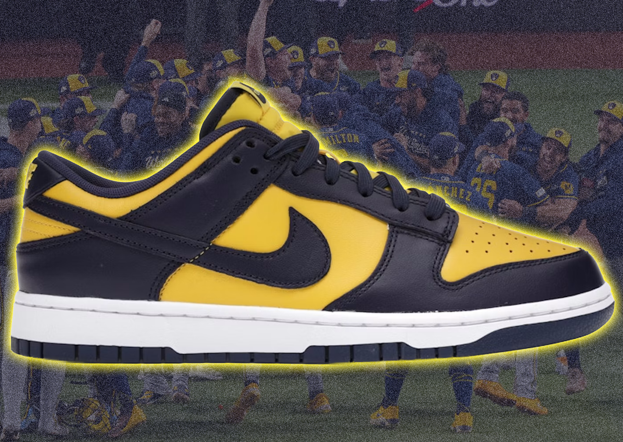 Nike Dunk Low Michigan