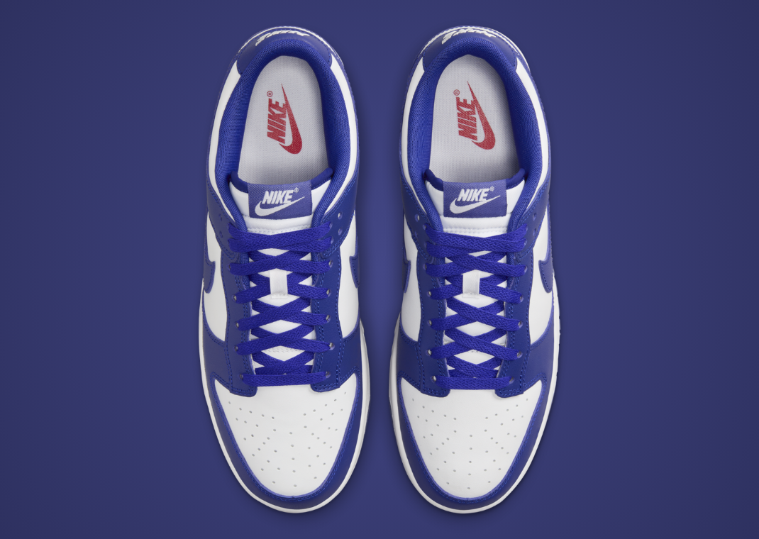 Nike Dunk Low White Concord Top