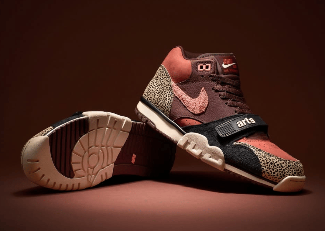 Arts-Rec x Nike SB Air Trainer 1