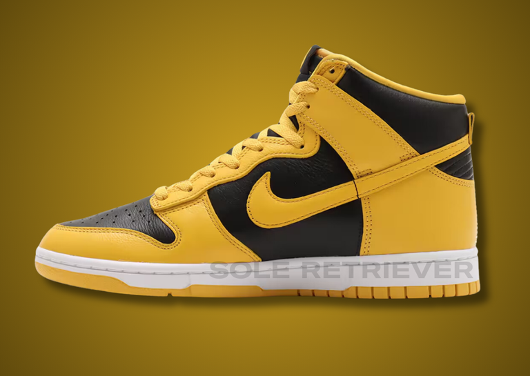 Wu-Tang x Nike Dunk High Retro Premium Medial